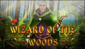 Wizard of the woods